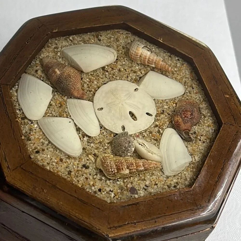 Handcrafted Sea Shell and sand epoxy wood trinket box.